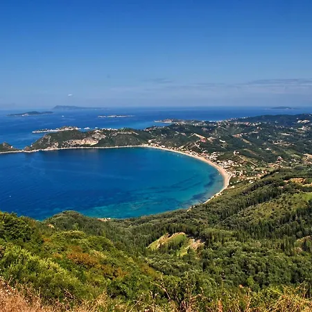 Lefko -